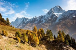 ŠVÝCARSKO A VÝLET HORSKÝM EXPRESEM - Švýcarsko