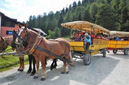 ŠVÝCARSKÝ ENGADIN - LANOVKY V CENĚ - Švýcarsko