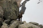 Švýcarský Engadin s dětmi - Švýcarsko
