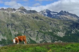 Švýcarský Engadin s dětmi - Švýcarsko