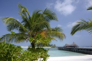 TAJ EXOTICA RESORT AND SPA - Maledivy - Atol Jižní Male