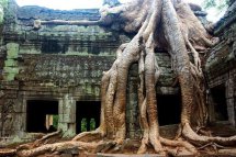 Tajemné chrámy Angkoru v Kambodži a Bangkoku v Thajsku - Kambodža