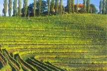 Tajemné jeskyně Slovinska a Itálie, víno a mořské lázně Laguna - Slovinsko