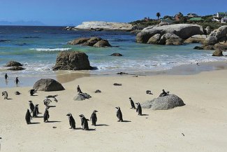 Tam, kde řádí řeka - Jihoafrická republika