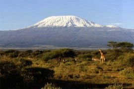 Tanzánie – výstup na Kilimandžáro a safari