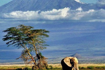 Tanzánie – výstup na Kilimandžáro - Tanzanie