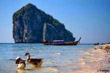 Thajsko - nejkrásnější moře Asie - Malajsie