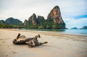 Thajsko  - putování po ostrovech - Thajsko
