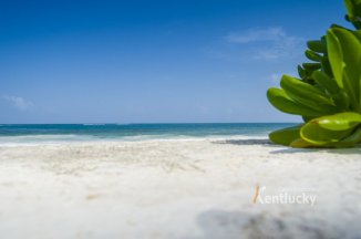 THE REEF COCO BEACH - Mexiko - Riviéra Maya