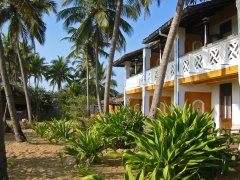 The Stardust Beach Hotel