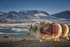 TIBET A NEPÁL - NA STŘECHU SVĚTA POD MT. EVEREST - Nepál