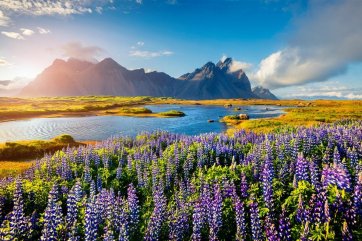 To nejlepší z Islandu - za polární září, gejzíry a vodopády - Island