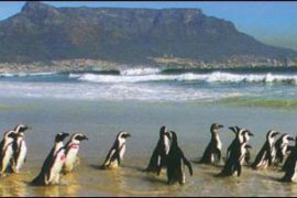 TO NEJLEPŠÍ Z JIŽNÍ AFRIKY - Jihoafrická republika