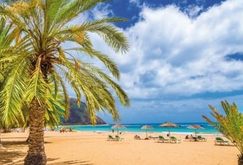 To nejlepší z Kanárských ostrovů - Kanárské ostrovy - Tenerife