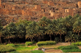 Tradice, duny a súk s živým dobytkem - Omán