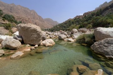 Tradice, duny a súk s živým dobytkem - Omán