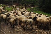 Transylvánie I - Rumunsko