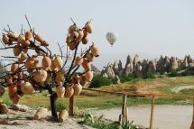 Turecko + východní oblasti země - Turecko