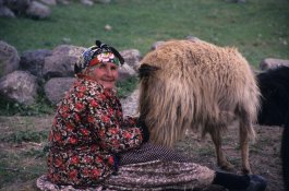 Turecko + východní oblasti země - Turecko