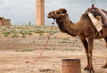 Turecko + východní oblasti země - Turecko
