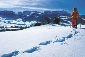Tyrolsko na sněžnicích - Rakousko