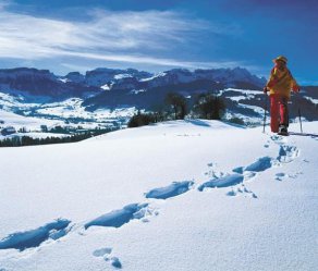 Tyrolsko na sněžnicích