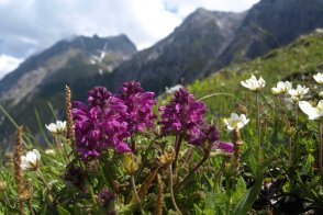 Údolí Glemmtal, svět salcburských hor - Rakousko