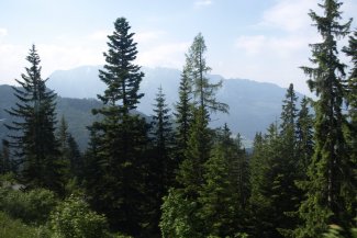 Údolí Pitztal a Kaunertal, slavnost shánění stád - Rakousko
