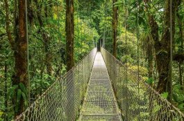 ﻿Uprostřed divoké přírody - Nikaragua