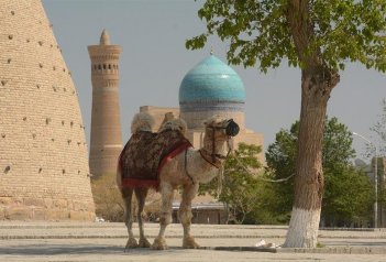 Poznávací zájezd Uzbekistán