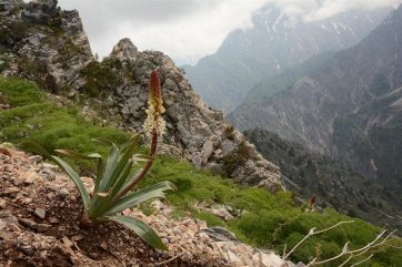 Poznávací zájezd Uzbekistán - Uzbekistán