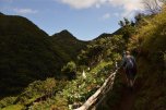 Velikonoce na Madeiře - jednodenní túry - Portugalsko - Madeira 