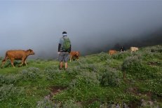 Velikonoce na Madeiře - jednodenní túry - Portugalsko - Madeira 