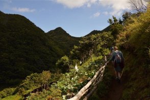 Velikonoce na Madeiře - jednodenní túry - Portugalsko - Madeira 