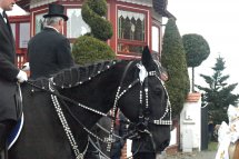 Velikonoce v Lužici, křižácké jízdy a zahrady - Německo