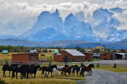 Velikonoční ostrov, Patagonie, Ohňová země - Argentina