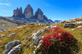 VELKÁ DOLOMITSKÁ CESTA - V ČASE KVETOUCÍCH DOLOMIT