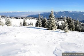 Velká Fatra na sněžnicích - Slovensko - Velká Fatra