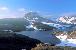 Velký okruh Norskem s turistikou na souostroví Lofoty a Vesterály - Norsko