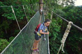 Velký okruh po Borneu - Malajsie - Borneo