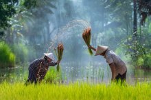 Vietnam a Kambodža - skryté klenoty Indočíny - Vietnam