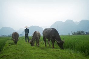 Vietnam - gurmánství, bambusová architektura a příroda smaragdových polí - Vietnam