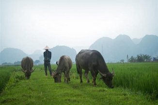 Vietnam - gurmánství, bambusová architektura a příroda smaragdových polí - Vietnam