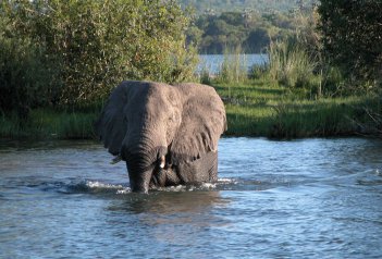 Viktorriny vodopády Zimbabwe a NP Chobe a Delta Okavango - Jihoafrická republika