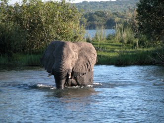 Viktorriny vodopády Zimbabwe a NP Chobe a Delta Okavango