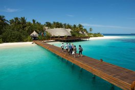 Vilu Reef Beach & Spa Resort - Maledivy - Atol Dhaalu