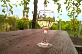 Vinobraní v Tokaji: Budapešť a termály