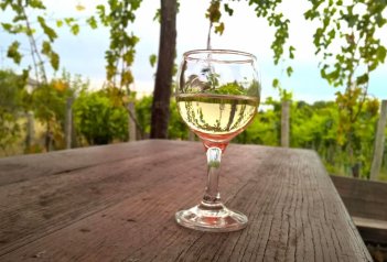 Vinobraní v Tokaji: Budapešť a termály - Maďarsko