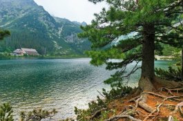 Vlakem pod tatranské velikány - Slovensko - Vysoké Tatry