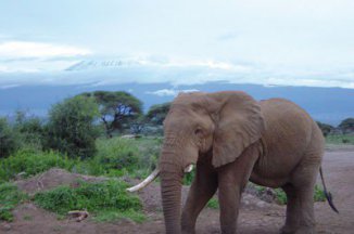 Volání divočiny - Keňa a Tanzánie - Keňa